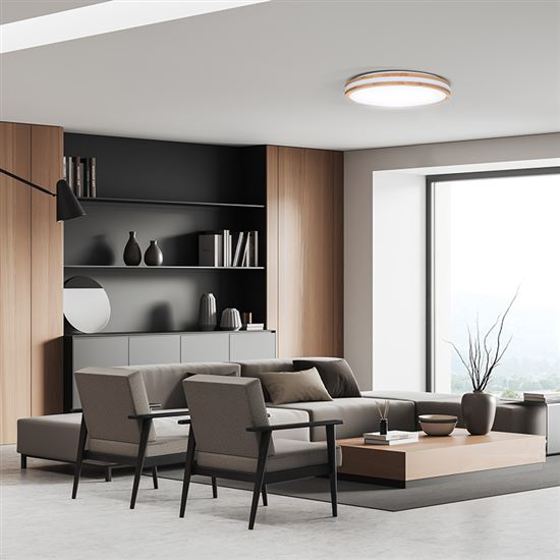 Solight/   LED osvětlení s dálkovým ovladačem Woody, 60W, 4200lm, 50cm, změna chromatičnosti, stmívatelné